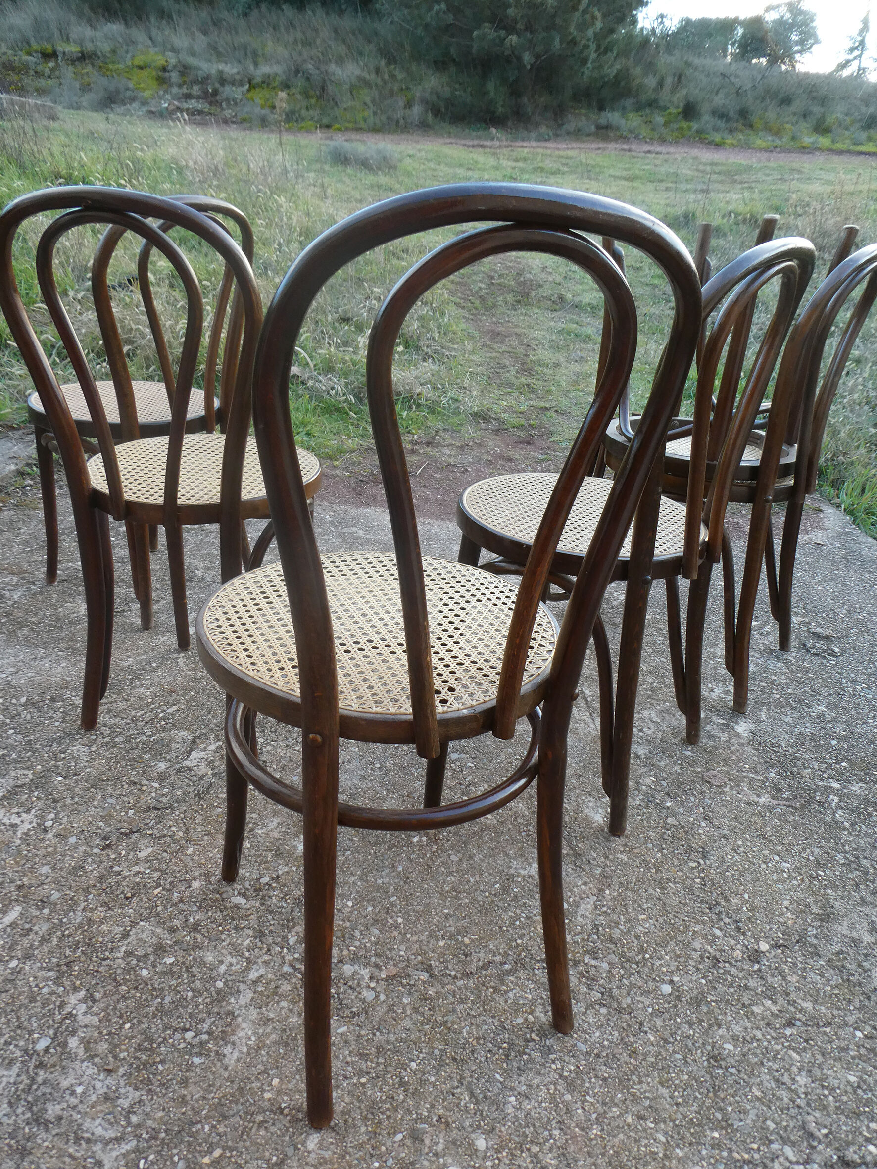 Set of 6 bistro chairs canned in curved wood N°18