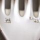 24 dessert spoons, Art Deco Ercuis