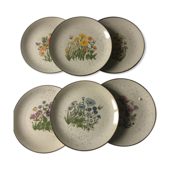 Dessert plates in gres year 1970