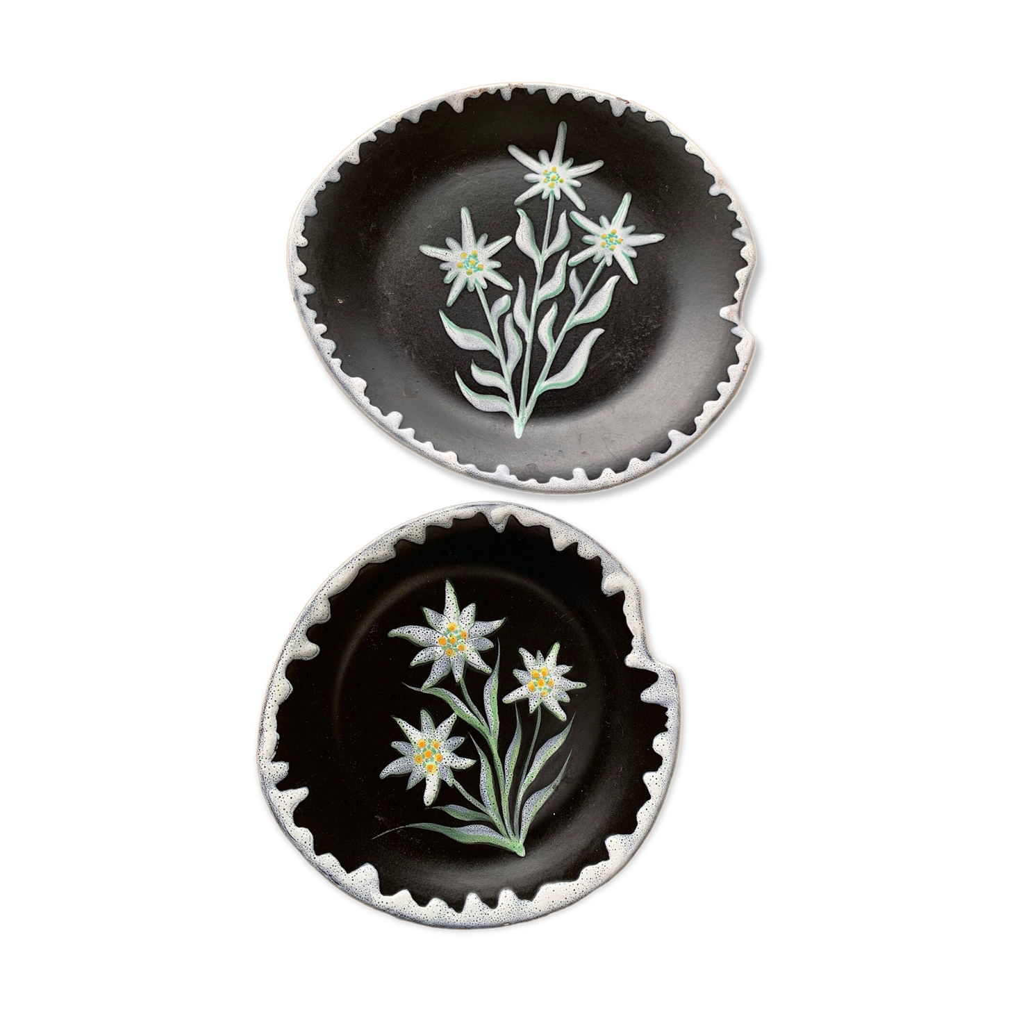 Two plates, decorative dishes edelweiss patterns in glazed ceramic signed SF vintage
