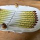Antique asparagus dish in Limoges porcelain – Pates & Cie – system