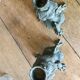 Set of 2 antique candlesticks in spelter.