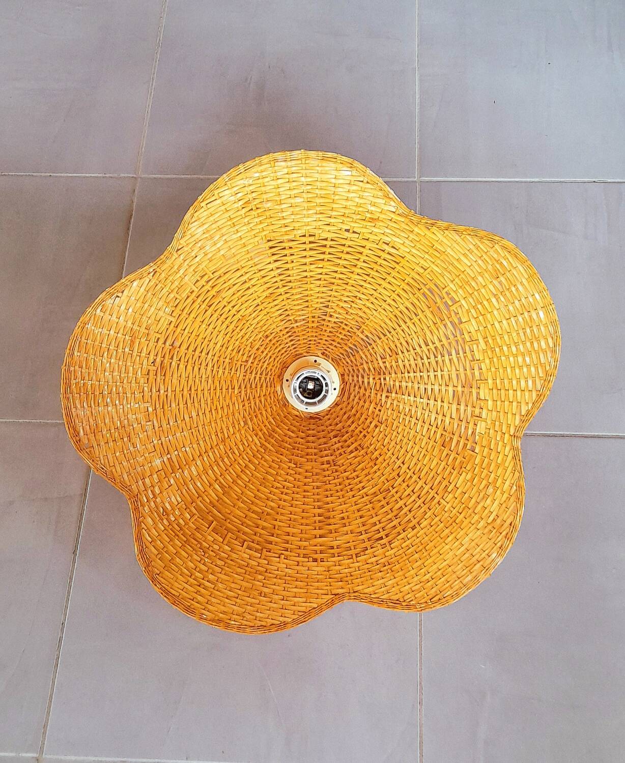 Suspension osier tréssé 1970