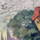 Antique painting signed Armand Lacour, 1935