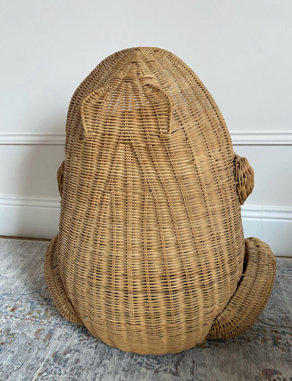 Willow frog Olivier Cajan