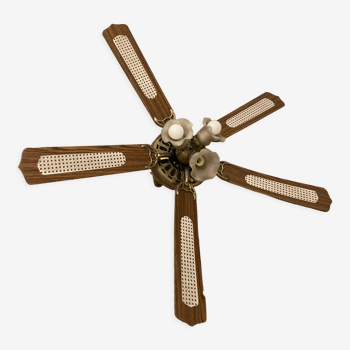 Vintage ceiling fan with canning