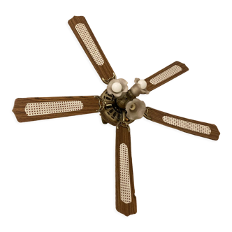 Vintage ceiling fan with canning