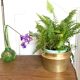 Cache-pot en laiton vintage