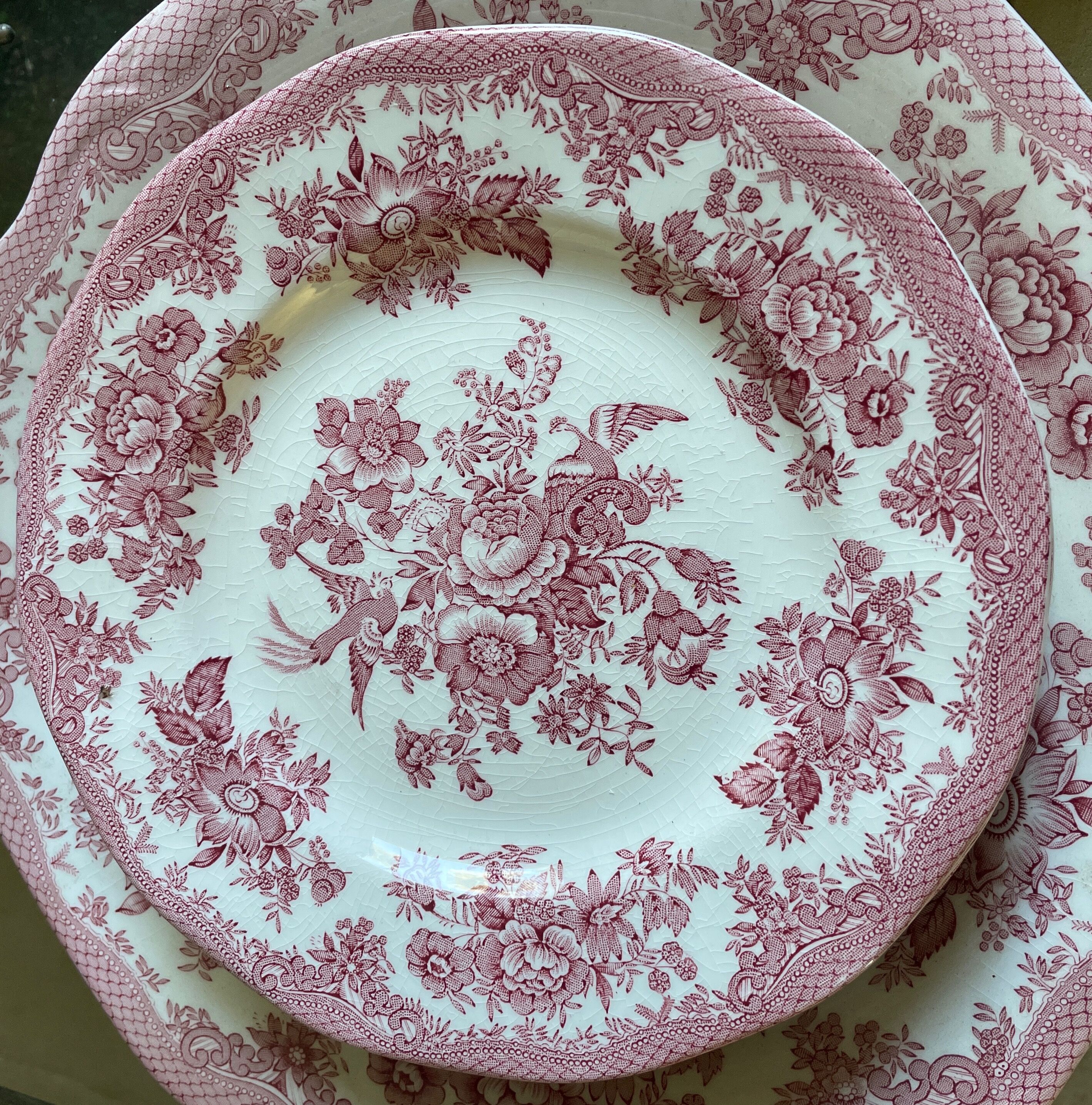 Lot de 8 assiettes faïence Wedgwood modèle faisan asiatique rose