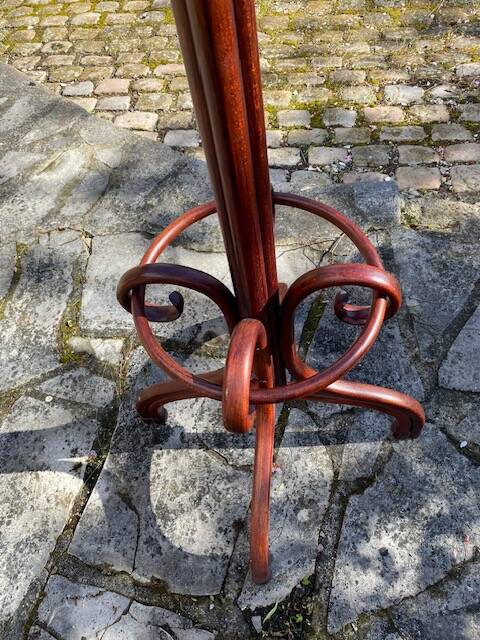 porte manteau perroquet en acajou
