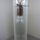 Glass hanging lamp Kaiser Leuchten, 1960’s