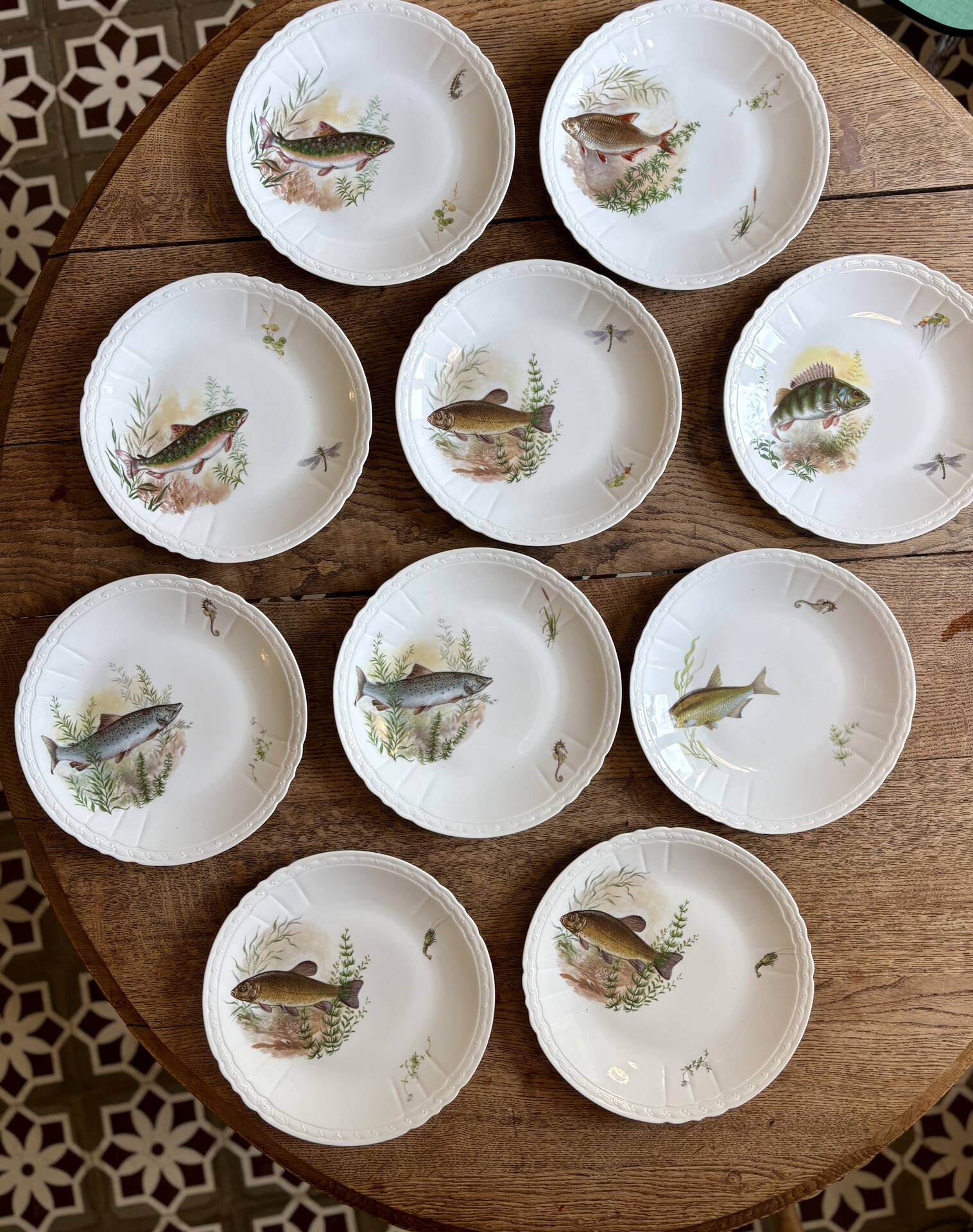 Set of 10 antique flat plates in porcelain, decorated with fish.