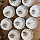 Set of 10 antique flat plates in porcelain, decorated with fish.