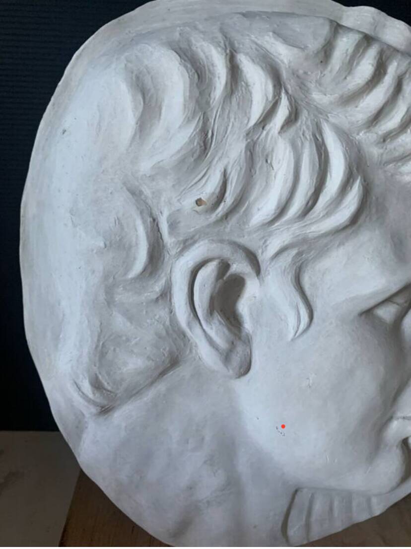 Bas relief plaster medallion