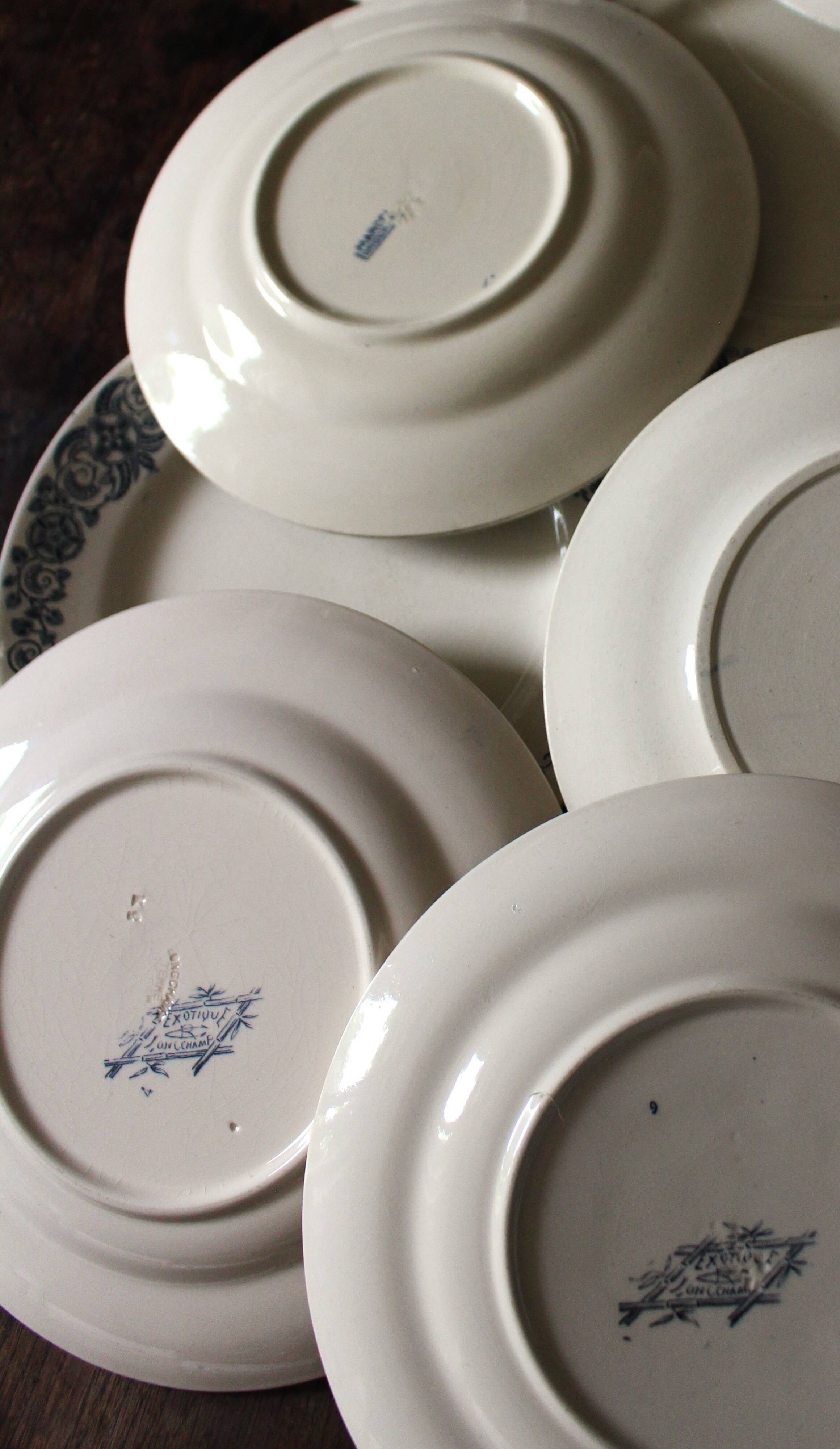 6 Terre de Fer blue Marcel Alésia Exotic Longchamp plates