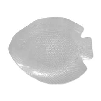 Arcoroc glass fish dish for Codec