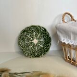 Cabbage plate in green slip