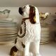 Chien, cavalier king charles en faïence staffordshire n°6, vers 1860
