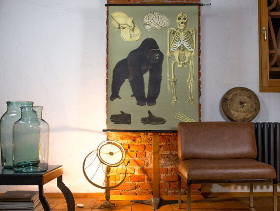 Wall poster of the school from Jung-Koch-Quentell "gorilla" 1968