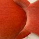 Fauteuil crapaud vintage