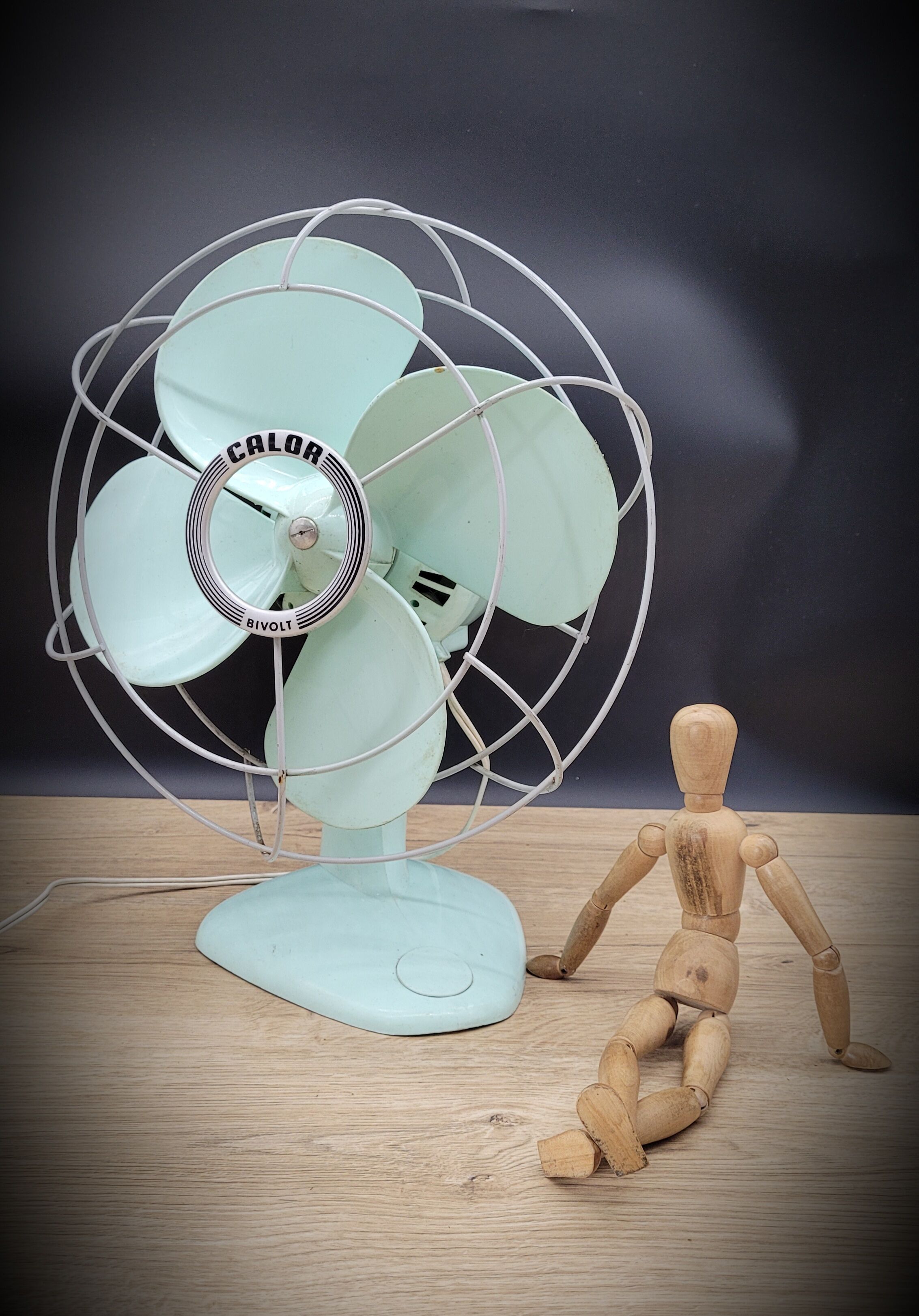 Ventilateur Calor années 60 Selency — free download