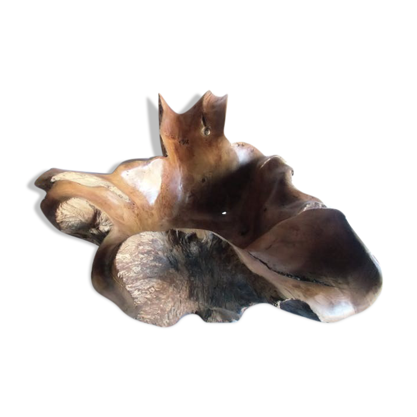 Sculptural wooden centrepiece, organic bowl, brutalist.