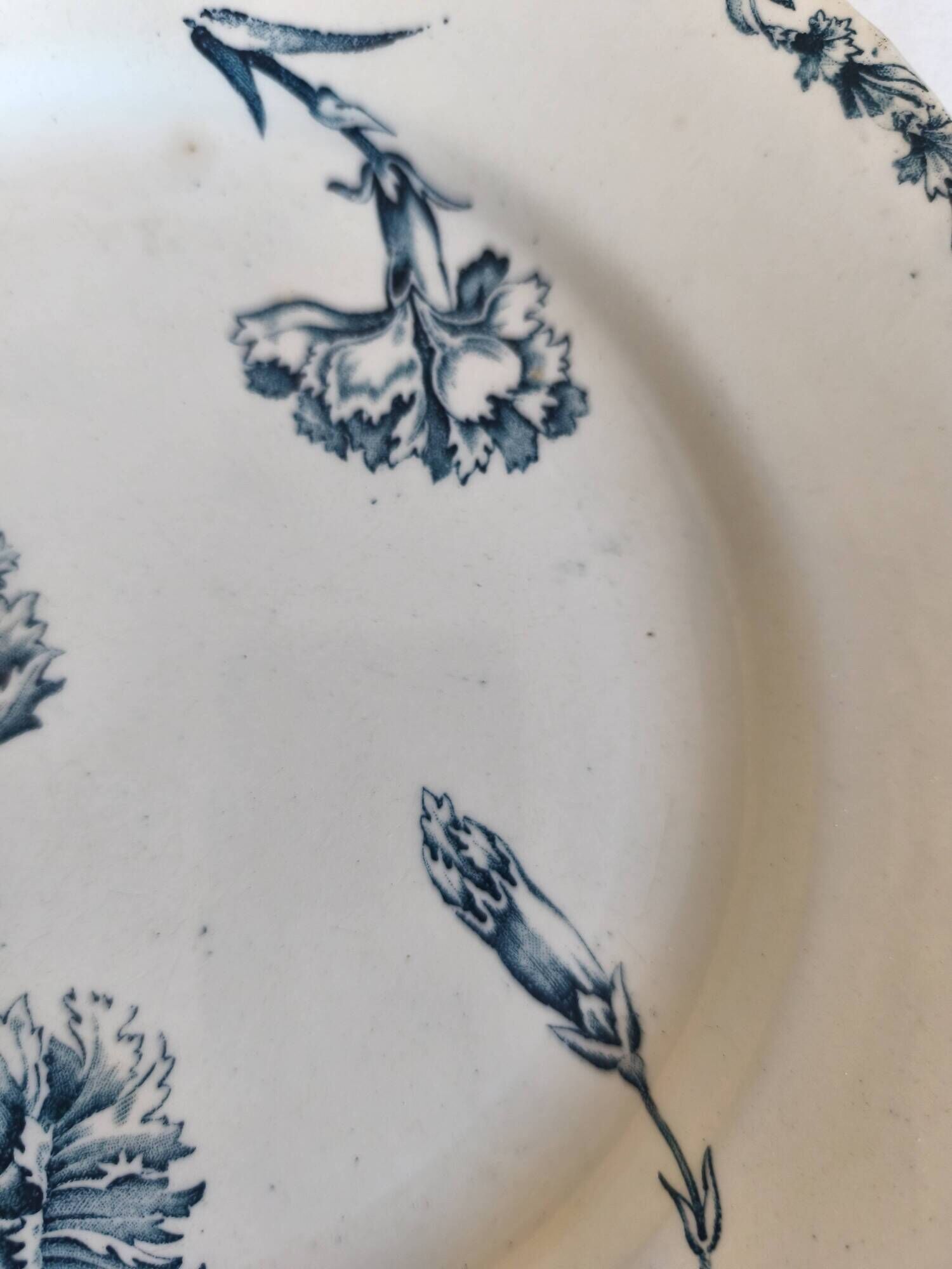 Two ironstone plates from Lunéville Keller and Guérin with a floral pattern.