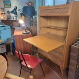 Rattan secretary