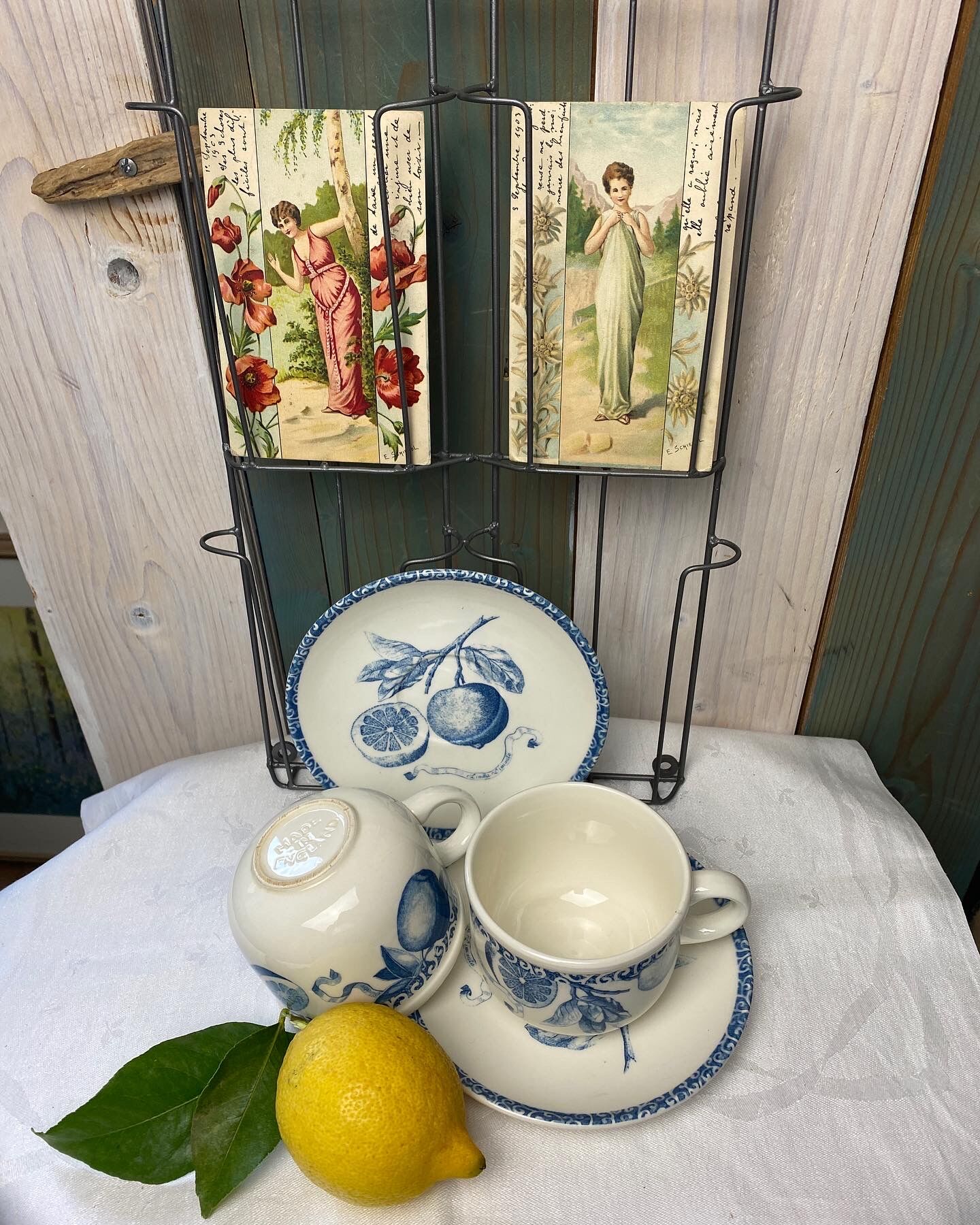 Duo of cups and undercups in English porcelain "Tudor"