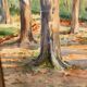 Framed watercolor trees in autumn dated 1943