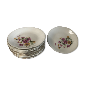 Set 11 Gien porcelain plates