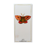 Dryandra moth - insect series - cabinet of curiosities