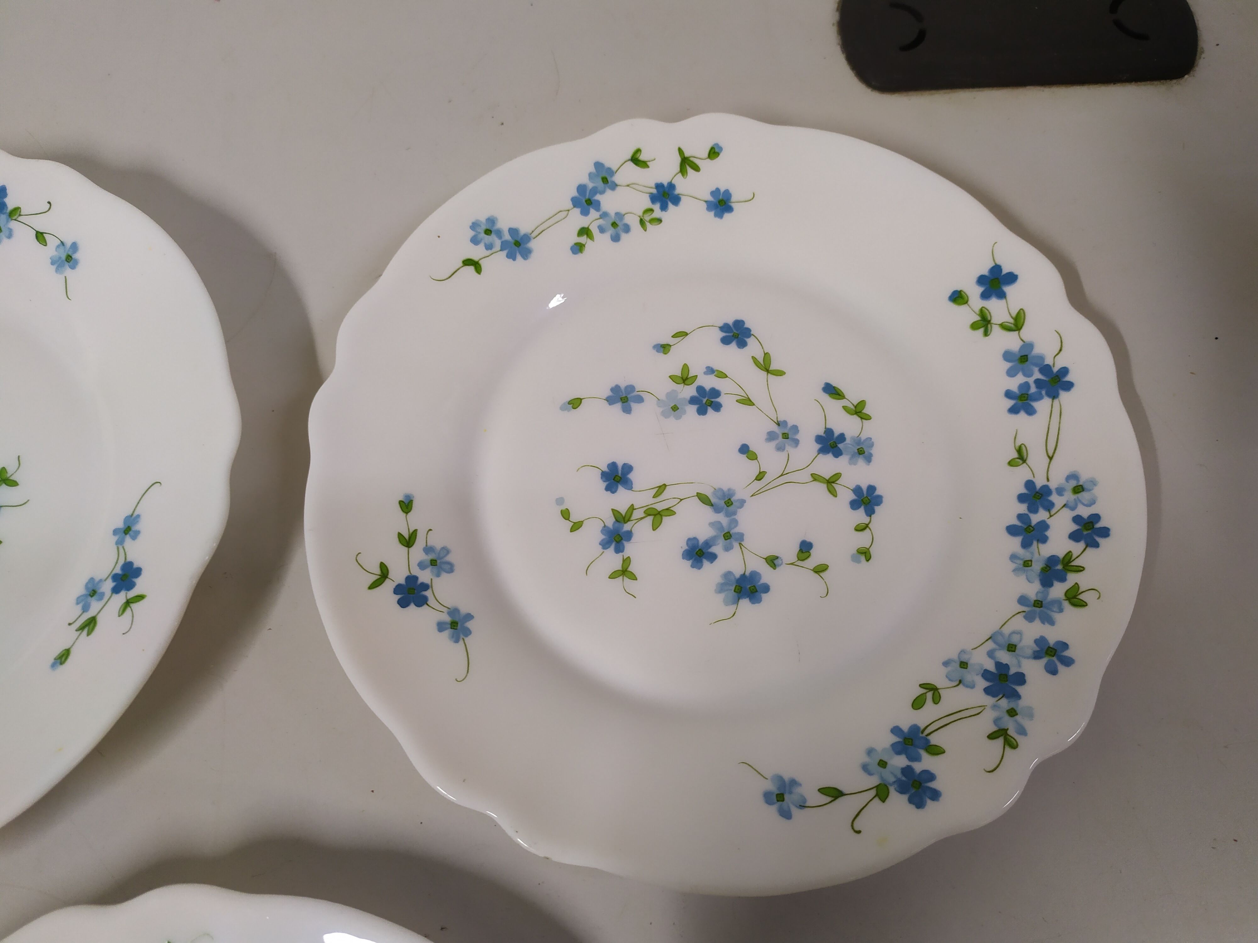 5 Desserts ARCOPAL Véronica Myosotis Vintage Blue Flower