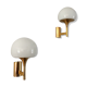 Sciolari wall sconces 1960