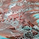 Plat poisson Vallauris