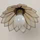 Paire appliques fleurs en nacre