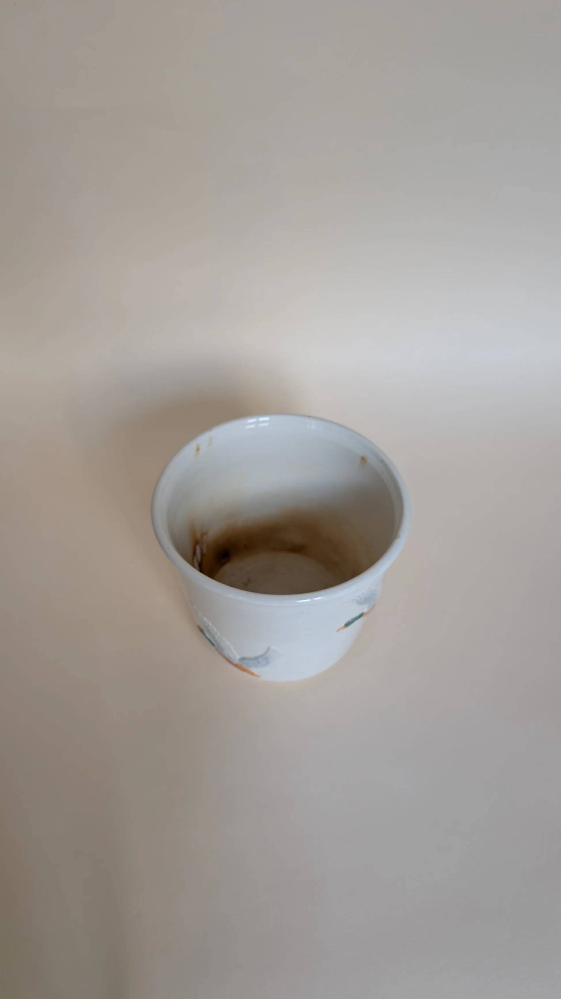 Duck cache pot