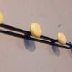 Vintage 60s wall coat rack