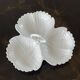 White earthenware plate