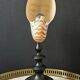 Nautilus / Natural Nautile, Black Turned Wooden Base H: 25 cm