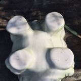 Cache-pot éléphant