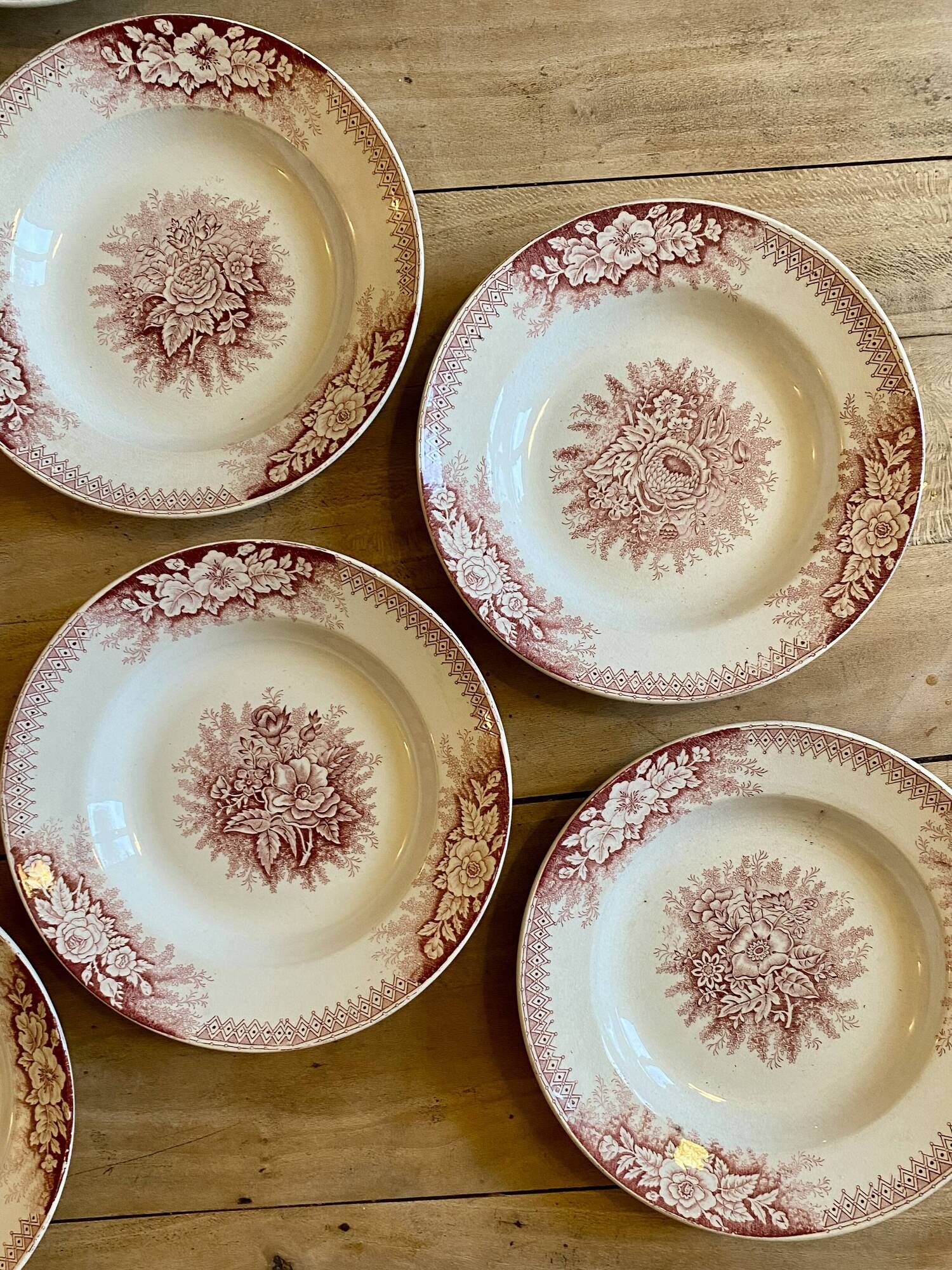 Set of 9 old ironstone hollow plates - Jardinière de Saint Amand