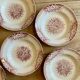 Set of 9 old ironstone hollow plates - Jardinière de Saint Amand