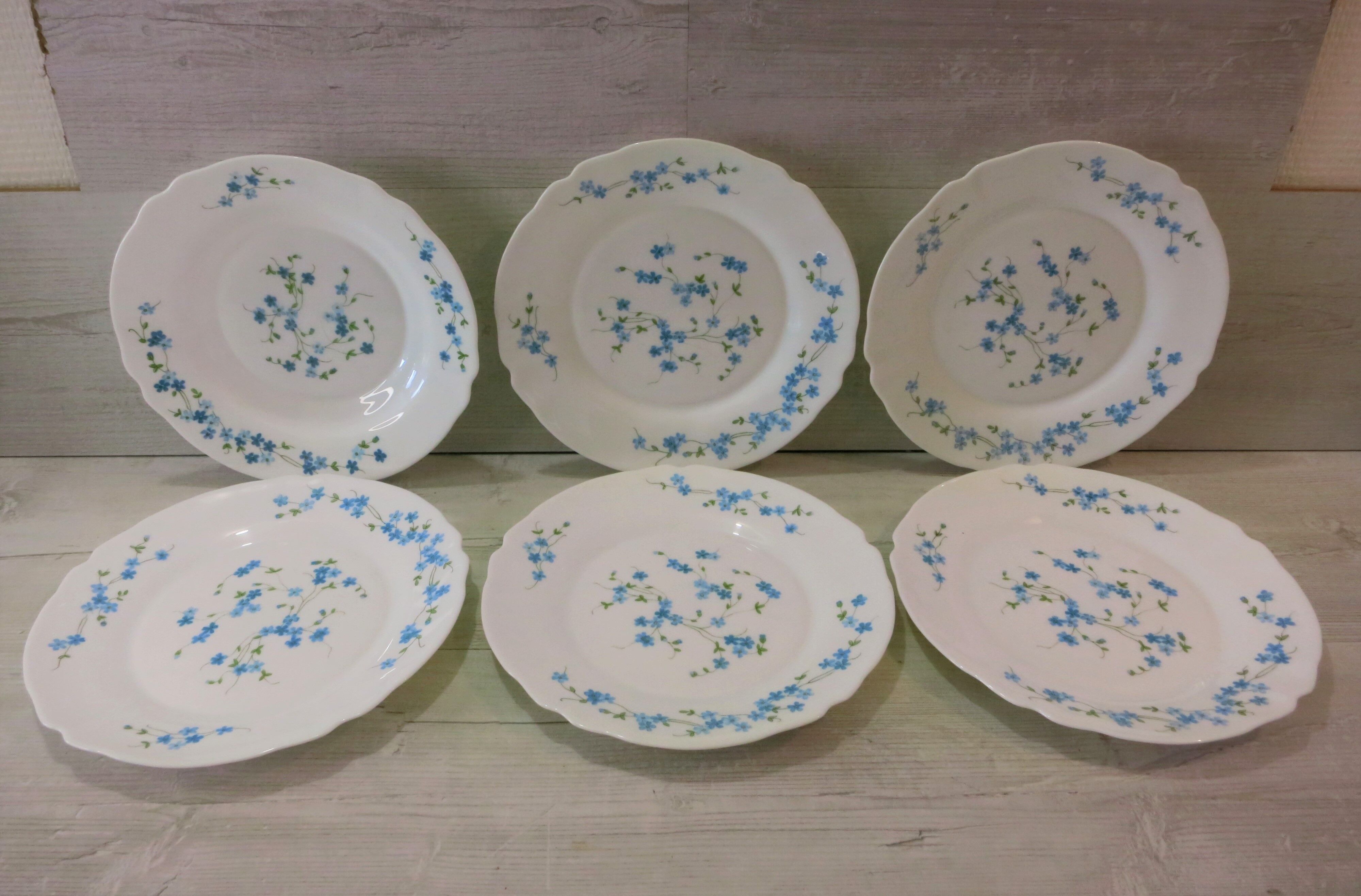 Lots de 5 d'assiettes et 1 assiette creuse , VERONICA  , Arcopal au motifs "Fleurs bleu Myosotis"