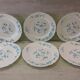 Lots de 5 d'assiettes et 1 assiette creuse , VERONICA  , Arcopal au motifs "Fleurs bleu Myosotis"