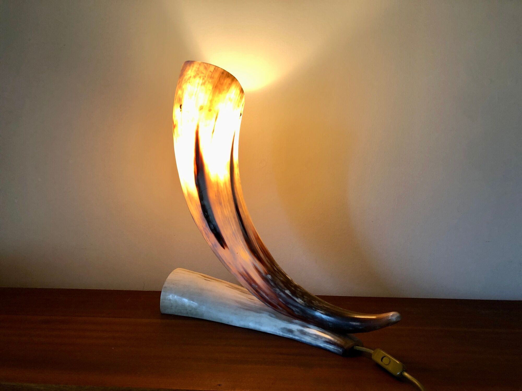 Grande lampe corne