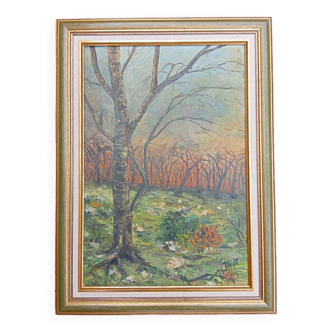 Huile sur toile paysage, 49 x 67 cm signature à identifier