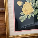 Framed poster vintage pinks yellow feared