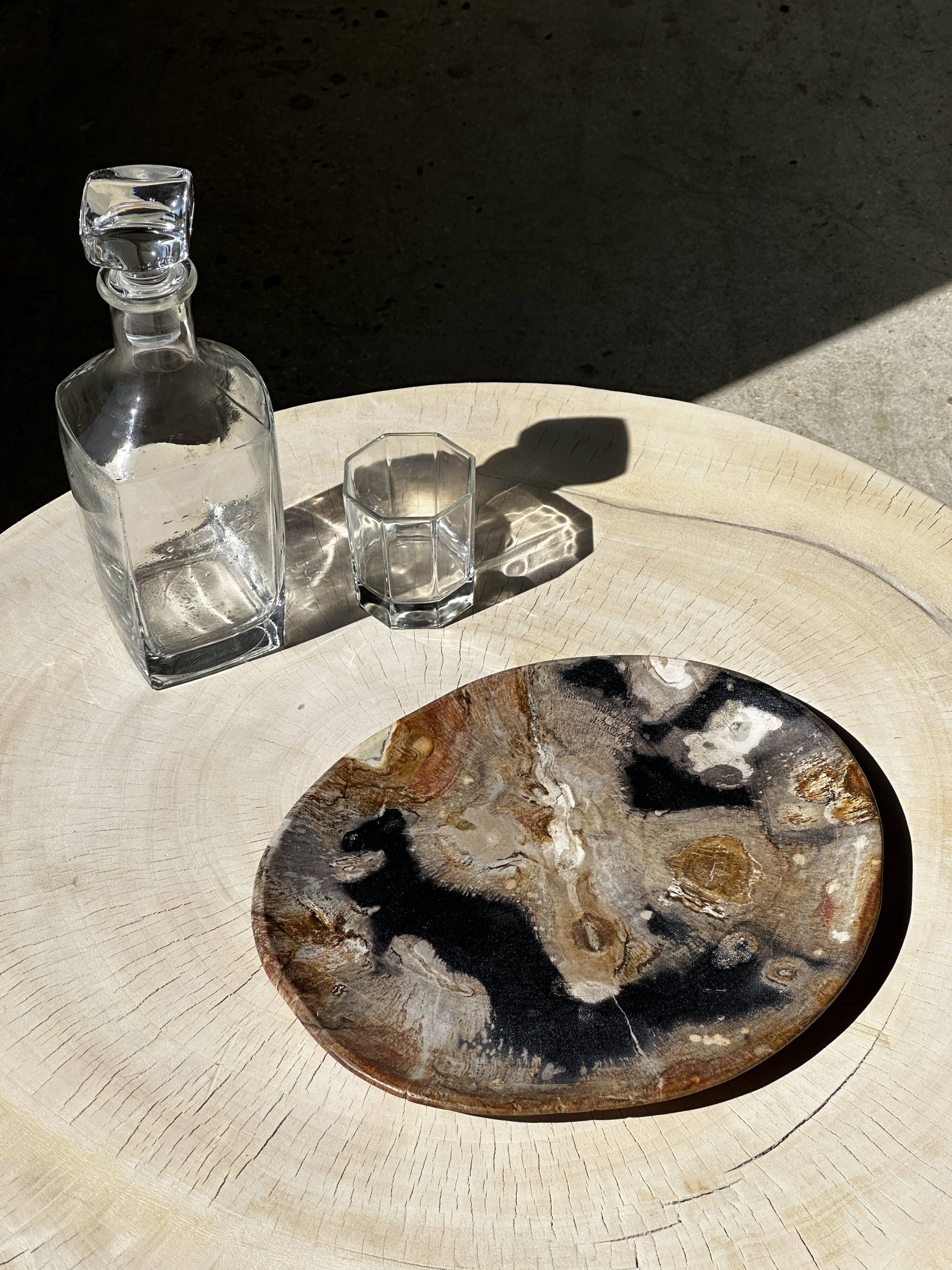 Large empty pocket or dish in petrified wood