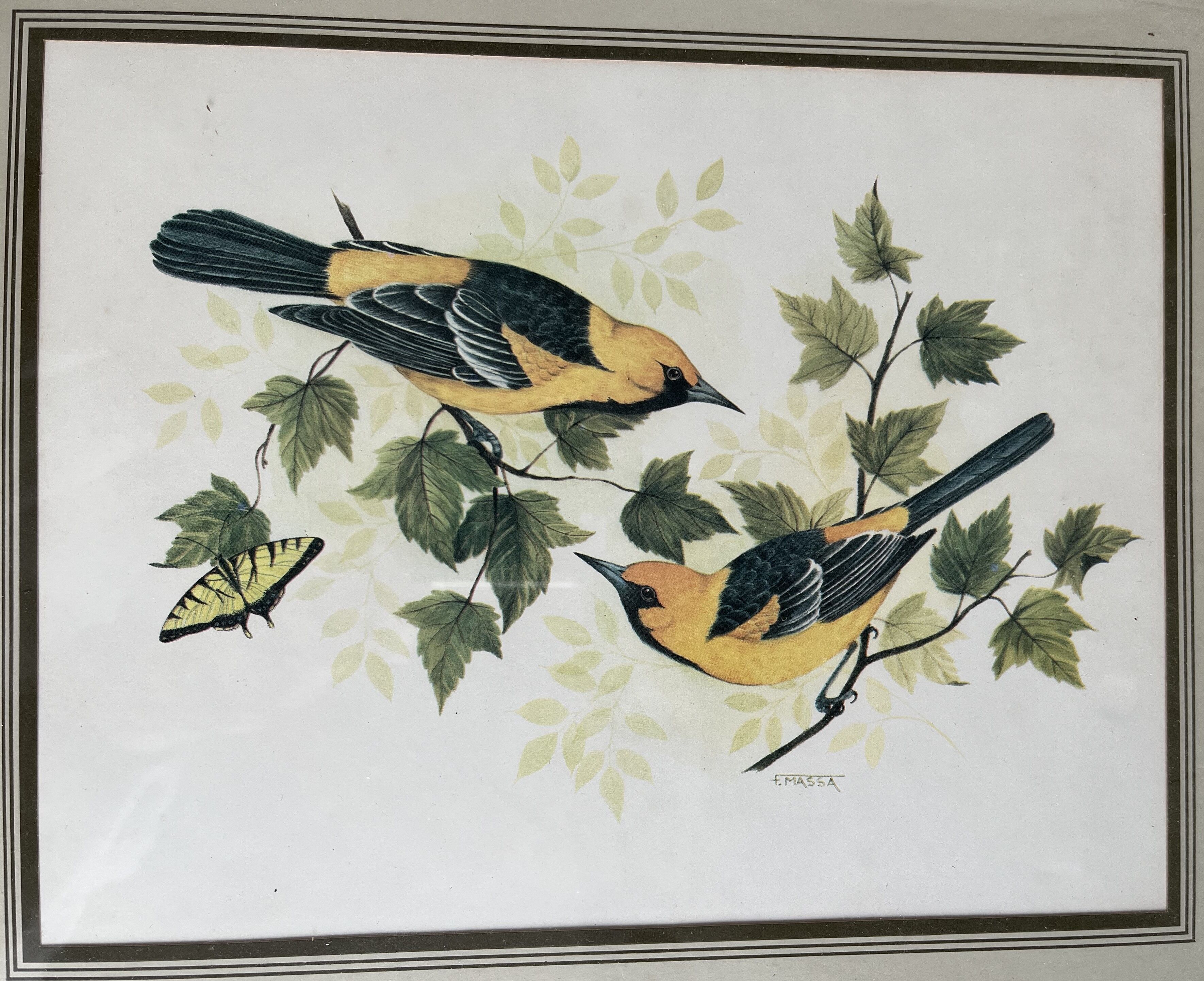 Table: Antique engraving by F Massa